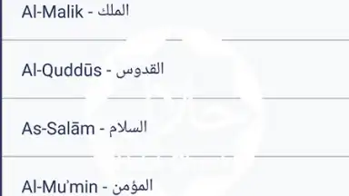 Halal Check скриншот 1