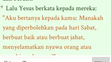 Alkitab скриншот 22