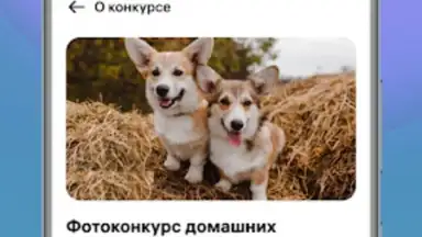 WB Team скриншот 1