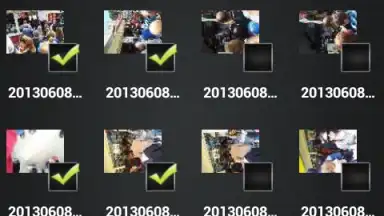 File Selector/Explorer скриншот 7