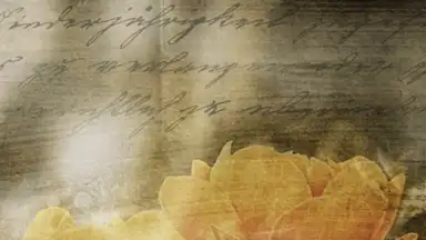 Secret Notes скриншот 7