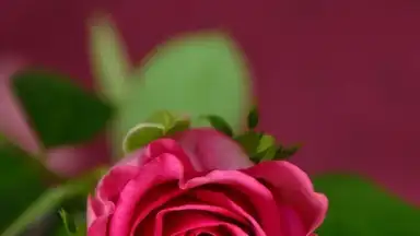 Secret Notes скриншот 6