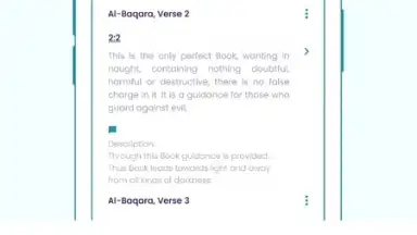 The Holy Quran - English скриншот 3