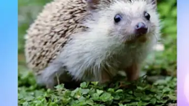 Учимся читать по слогам. Угадай букву скриншот 2