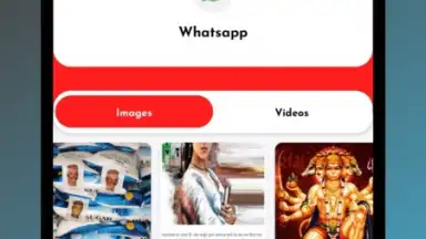 Smart Downloader скриншот 2