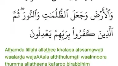 umma скриншот 4