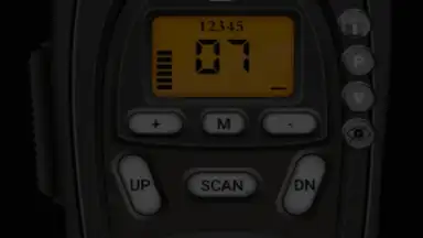 Online Walkie Talkie Pro PTT скриншот 5