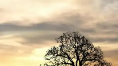 Keyboard Swap скриншот 2