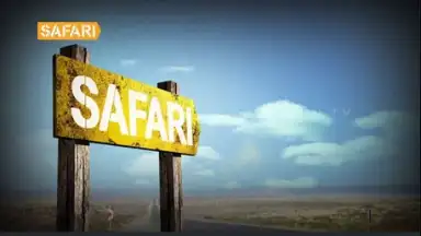 Safari скриншот 3