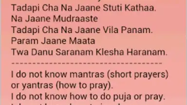 Daily Hindu Prayers скриншот 8