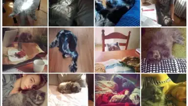 WeLine скриншот 7