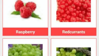 Food Dictionary скриншот 4