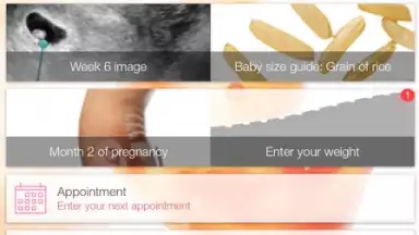 Pregnancy + скриншот 10