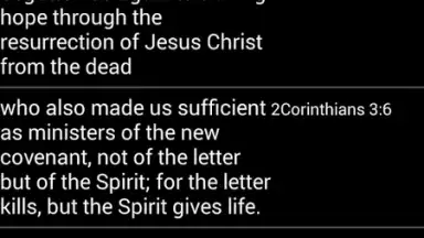 Bible Quotes скриншот 5