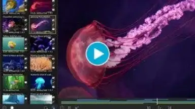 LumaFusion: Education Edition скриншот 1