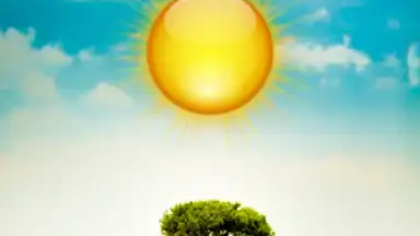 Cute Weather скриншот 6