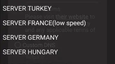 DNS-TM скриншот 1