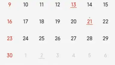 Mi Calendar скриншот 2