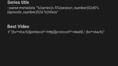 YTDLnis скриншот 14