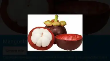 Food Dictionary скриншот 8