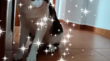 PicsArt скриншот 21