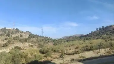 TikTok Now скриншот 7