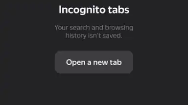 Yandex скриншот 6
