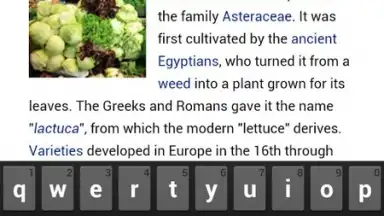 Orweb: Private Web Browser скриншот 2