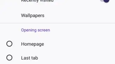 Firefox скриншот 2