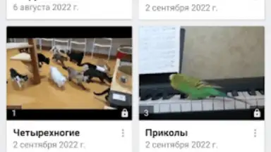 Video App for VK скриншот 3