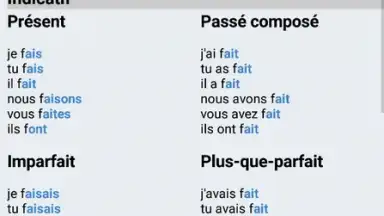 Le Conjugueur скриншот 7