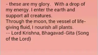 Daily Hindu Prayers скриншот 9