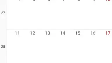 DigiCal скриншот 2