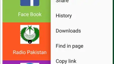 Pak Browser скриншот 6