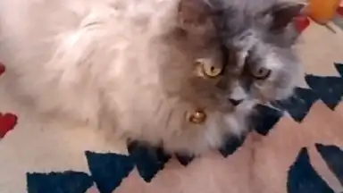 Sticker Market скриншот 7