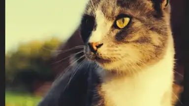 POMELO Camera скриншот 1