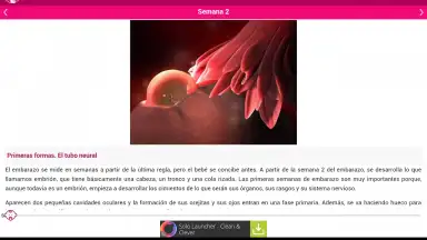 Semanas Embarazo скриншот 12