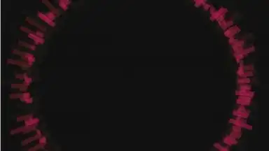 Download Everything Pro скриншот 3