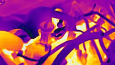 FLIR ONE скриншот 1