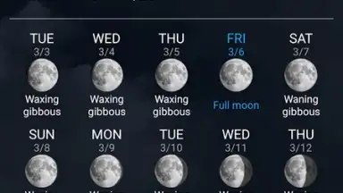 Digital Clock & World Weather скриншот 3