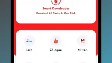 Smart Downloader скриншот 5