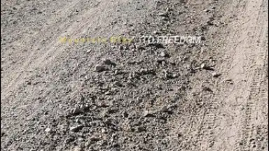 DJI Mimo скриншот 4