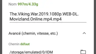 IDM (internet download menager) скриншот 2