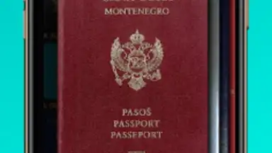 Passport Index скриншот 7