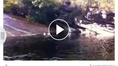 Appbloo FB Video Downloader скриншот 1