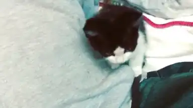 OGInsta+ скриншот 1