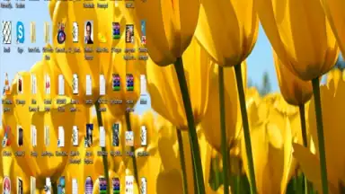 Remote PC Share скриншот 7