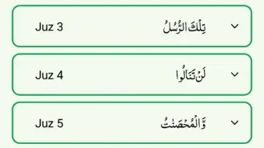 Quran Majeed скриншот 1