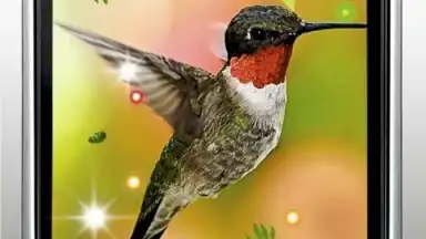 Colibri Spring 3D LWP скриншот 2