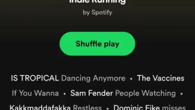 Spotify Lite скриншот 4